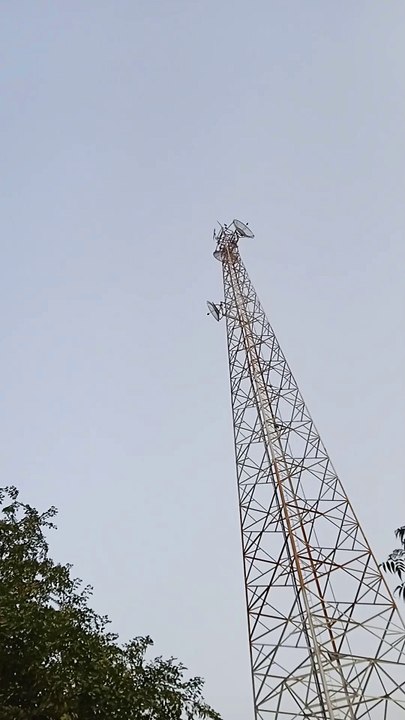 VID_20241104_163753