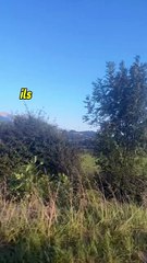 Je supprime de ma vie ceux qui suppriment mon sourire #motivation #conseils