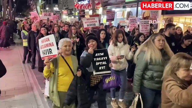 İzmir'de Hayvan Hakları Savunucuları, Katliam Yasasına Karşı Eylem Düzenledi