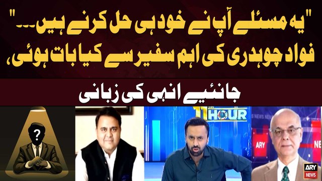 You Must Solve These Issues Yourself...’ Fawad Chaudhry Shares Key Discussion with Ambassador