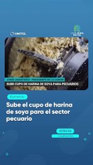 Sube el cupo de harina de soya para el sector pecuario