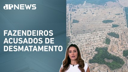 AGU ajuíza ação para cobrar multa de R$ 725 milhões por danos ao Pantanal; Patrícia Costa analisa
