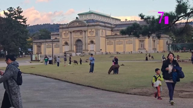 7est-Nara, el hogar de los ciervos sagrados-300125