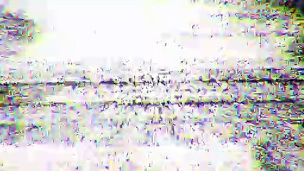 Peter Doherty : Stranger in my own skin