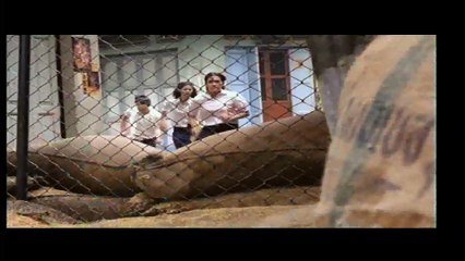 2499 อันธพาลครองเมือง (1997) เต็มเรื่อง
