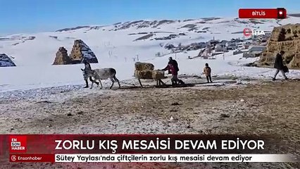 Bitlis'te çiftçilerin zorlu kış mesaisi devam ediyor