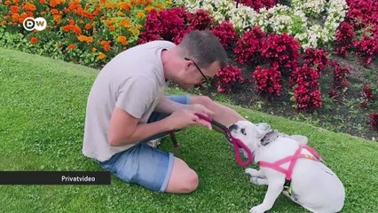 Europas erstes Labor klont Hunde und Katzen