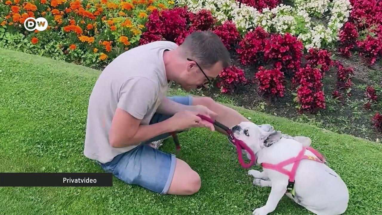 Europas erstes Labor klont Hunde und Katzen