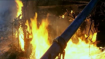 Ator 3 El Guerrero de Hierro 1987 Español España Castellano - Iron Warrior - Ator the Iron Warrior