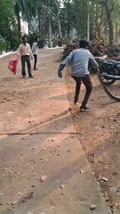 शमशान घाट में निकला अजगर साप