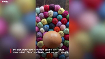 Seltenes kugelförmiges Ei - „eins in einer Milliarde“ - auf Bauernhof gefunden