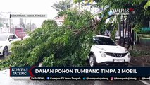 Dahan Pohon Tumbang Timpa 2 Mobil