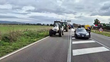 Grosseto, riprende la protesta dei trattori