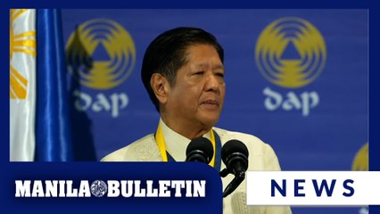 Marcos to public sector professionals: Help in ensuring national budget is spent wisely