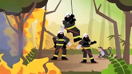 Helicopter Fighting forest