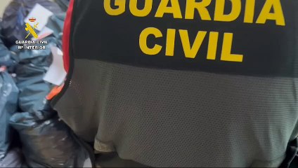 Golpe al narcotráfico de la Guardia Civil en Tenerife: acaban con tres 'fábricas' de droga