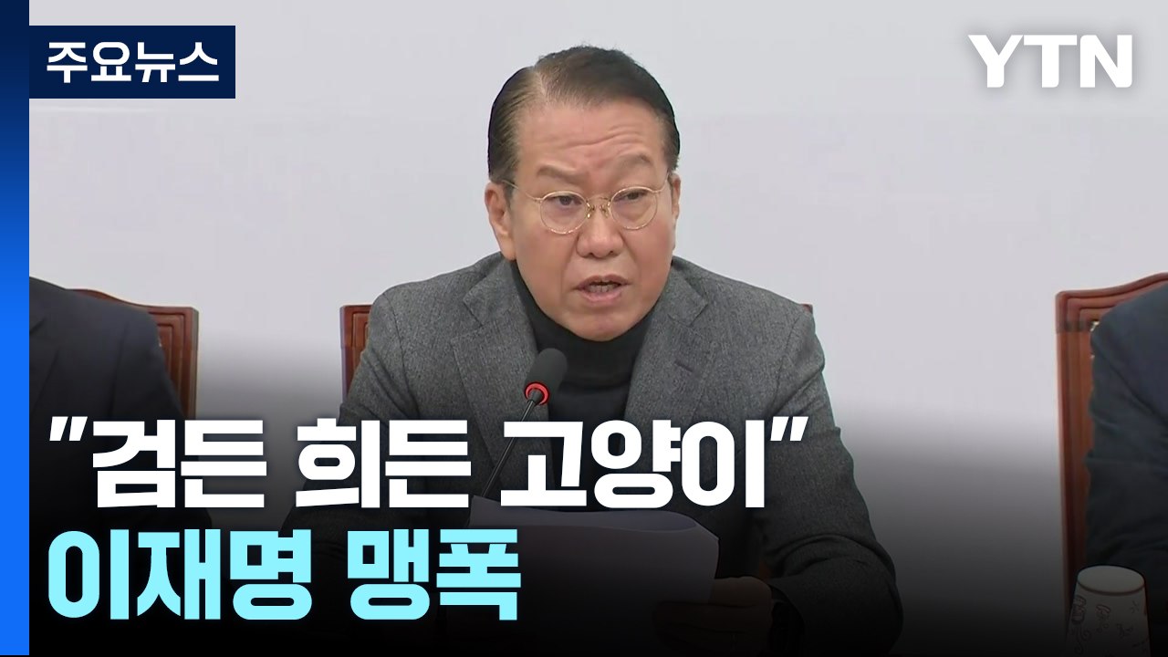 "검든 희든 고양이" "카멜레온 정치"...맹폭 퍼부은 여당 / YTN