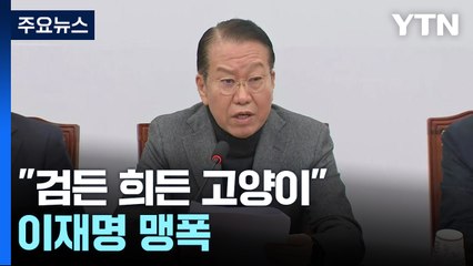 "검든 희든 고양이" "카멜레온 정치"...맹폭 퍼부은 여당 / YTN