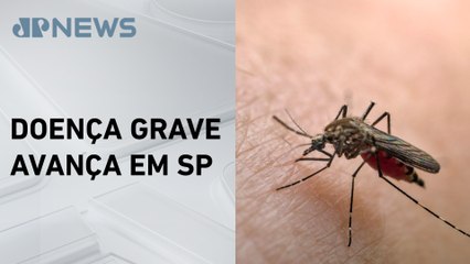 São Paulo confirma morte de primata por febre amarela