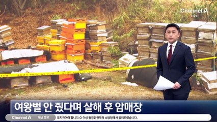 벌통에 여왕벌 없다며…양봉업자 살해 후 암매장