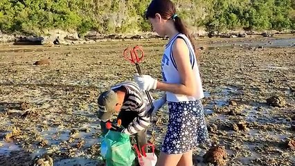 Joyful Moments with a Dutch Family Gathering Shells During Low Tide on Buton Island, Indonesia