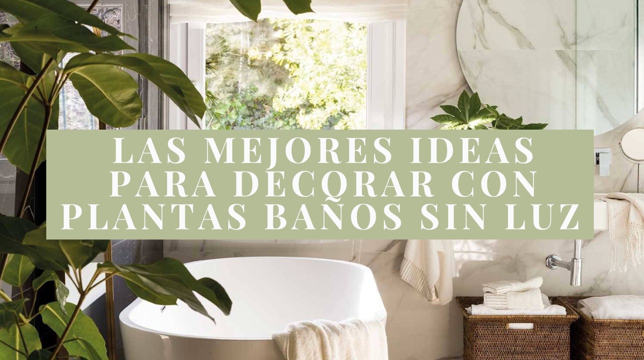 Las mejores ideas para decorar con plantas baños sin luz