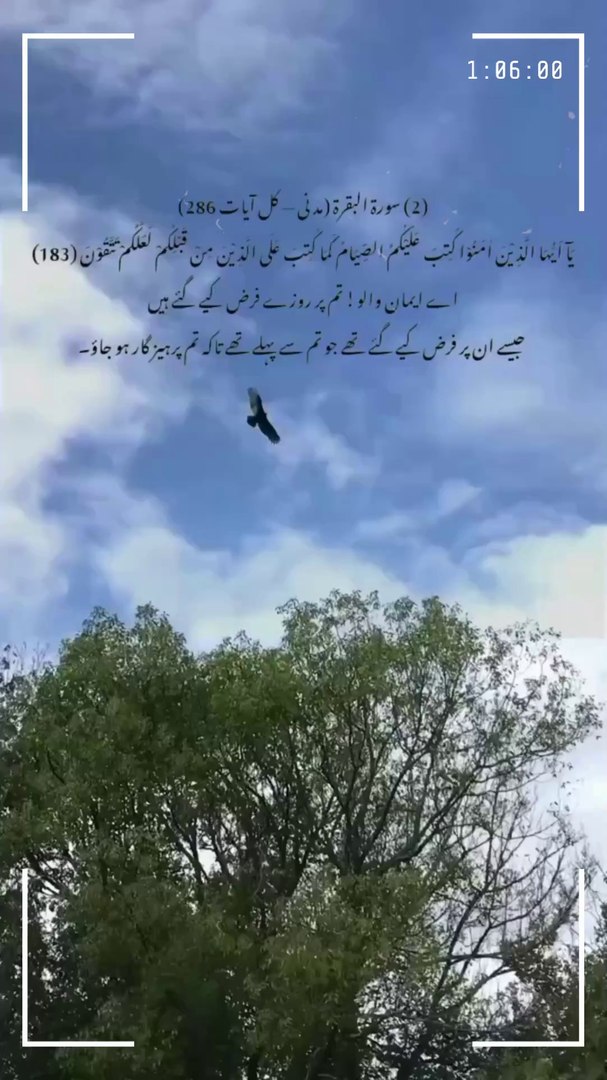 ⁣Islamic Reels (20)