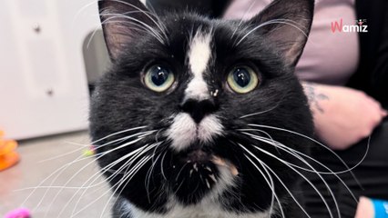 Il trouve un sac à dos abandonné dans la rue à -7°C : le contenu lui brise le cœur en mille morceaux