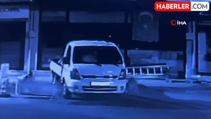 Sokak Köpekleri Park Halindeki Kamyoneti Parçaladı