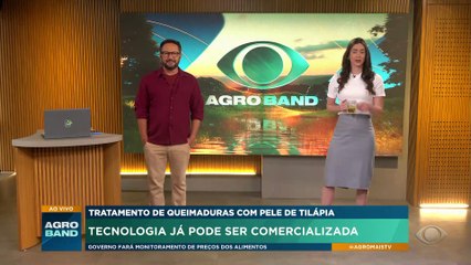 Anvisa aprova uso de pele de tilápia na medicina