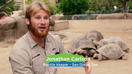 Meet One of the San Diego Zoo’s Oldest and Most Amazing Residents