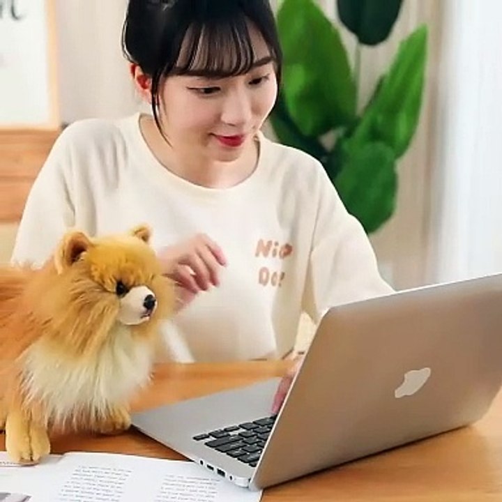 New sunrise manufacture cute stuffed simulation pug-dog emulation plush poodle animal doll toy for baby and children amusement