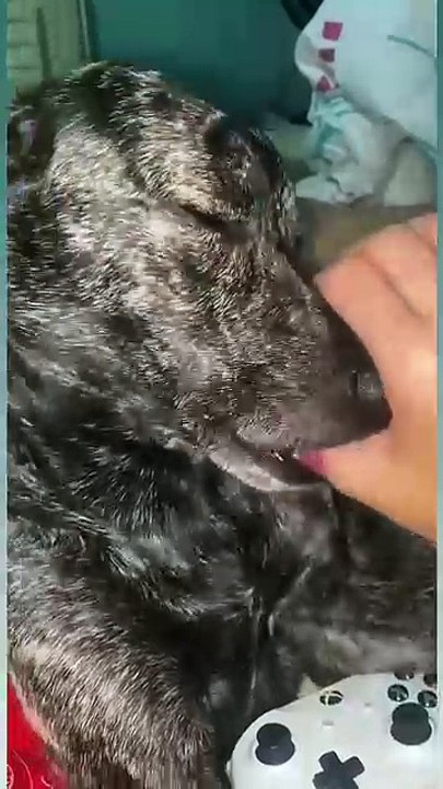 Feeling familiar😆