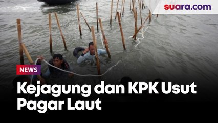 Mulai Diusut Kejagung, KPK Ikut Turun Tangan di Kasus Pagar Laut, Gak Tabrakan?