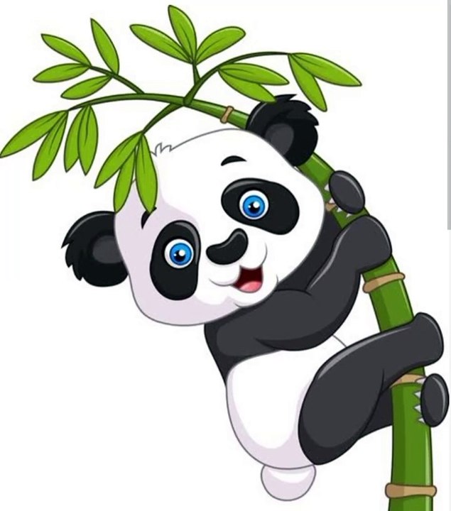 Baby Panda