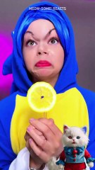 LEMON & CHOCOLATE ULTIMATE HACK 😹🍋 Home Made Candy