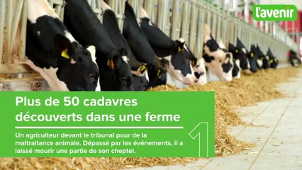 Surprenantes histoires judiciaires: 50 cadavres dans une ferme, la septuagénaire a pourri la vie de ses voisins et de la police..