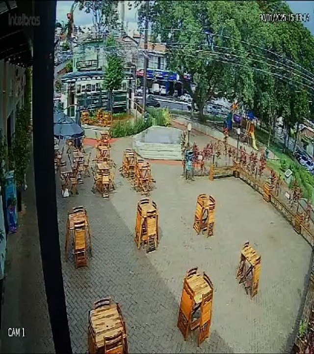 Raio derruba árvore na praça do Mercadão em Santa Bárbara d'Oeste