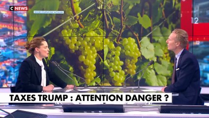 Vidalie Taittinger (Champagnes Taittinger) : L'Hebdo de l'Éco (Émission du 31/01/2025)