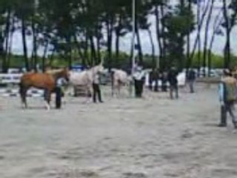 Arabe a la foire de bordeaux