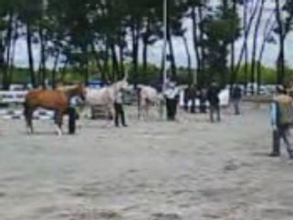 Arabe a la foire de bordeaux