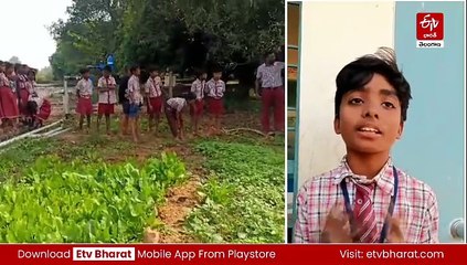 ప్రభుత్వ పాఠశాల విద్యార్థుల పొలంబాట - రైతన్న కష్టానికి సలామ్