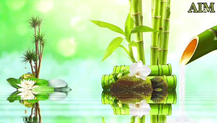 Beautiful Relaxing Music:Peaceful Piano Tunes