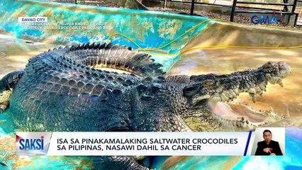 Saksi: (Part 3) Sinakmal sa ulo ng malaking isda; Lagay ng panahon; Hirit ni Jak Roberto sa pickup line