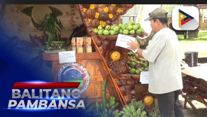 Caraga farmers earning more due to D.A.’s banana production project