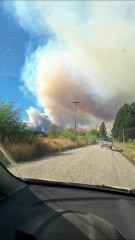 Se desató un incendio forestal en El Bolsón