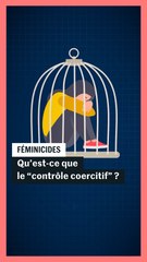 Qu'est-ce que le contrôle coercitif ?