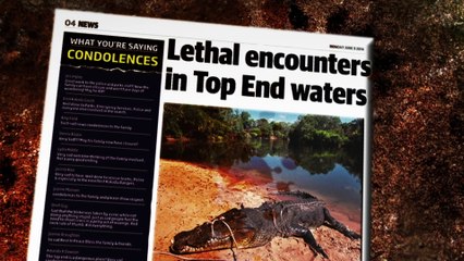 Cocodrilos Asesinos: La Verdadera Amenaza en los Humedales