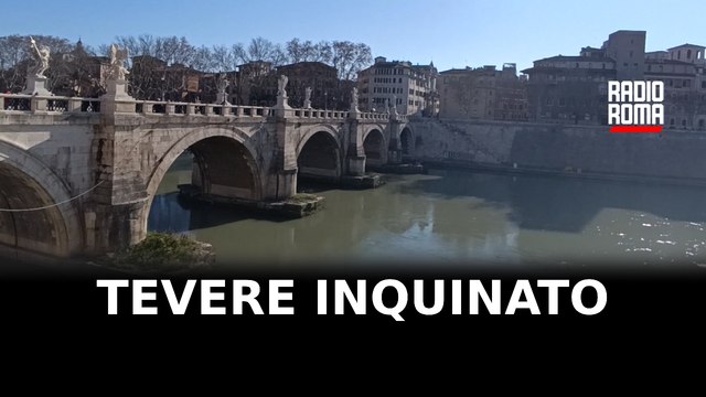 Tevere soffocato dai veleni: Colpa degli scarichi abusivi