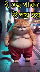 ইচ্ছে থাকলে উপায় হয় #Motivation #SuccessTips #PersonalGrowth #ইচ্ছেতাকলেউপায়হয় #MindsetMatter